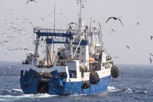 Опубликована новая редакция правил рыболовства для Северного бассейна