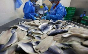 На отечественном рынке растет доля рыбной продукции глубокой переработки