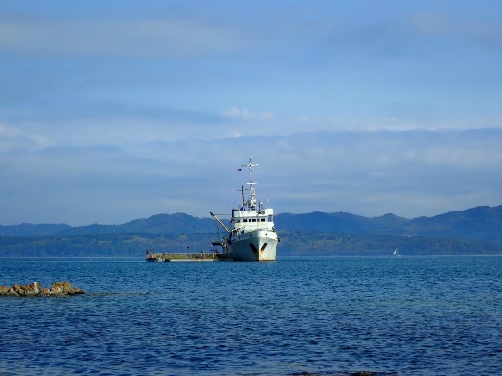 Ученые определят перспективы промысла лососей и сельди в Японском море