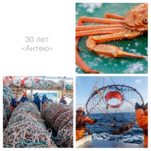 Рыбопромышленной группе «Антей» – 30 лет
