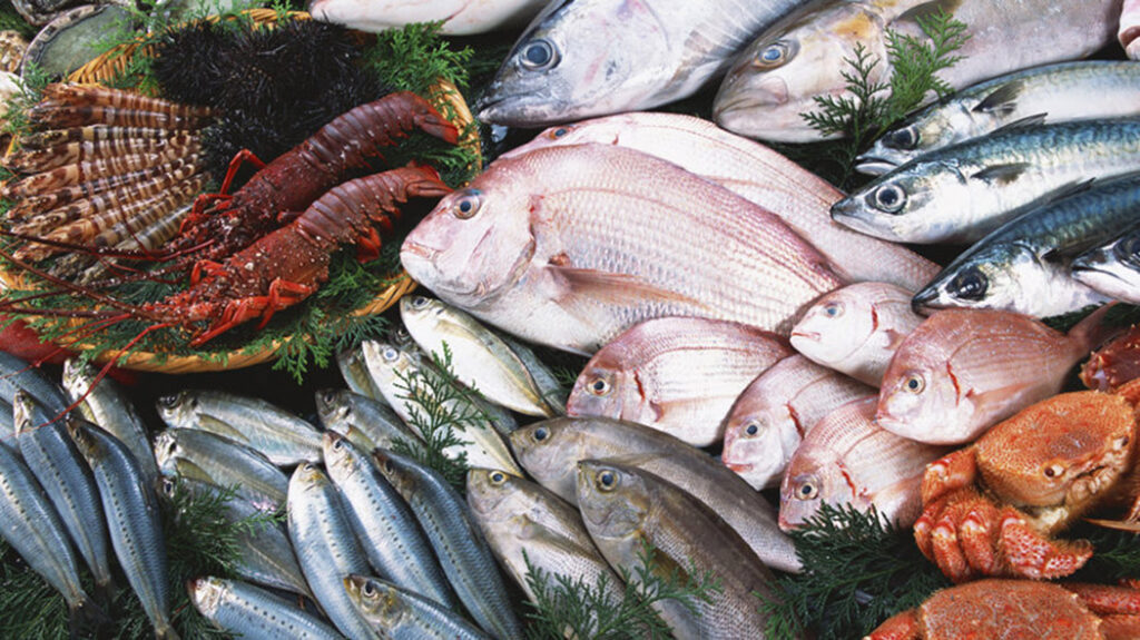 Экспорт российской рыбной продукции снижается в объемах и растет в цене
