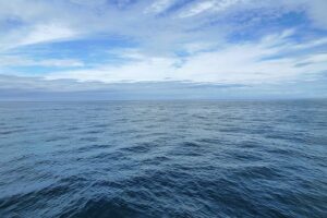 Рыбохозяйственная наука определит новые возможности промысла шельфовых объектов