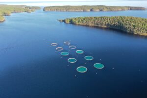 Прибыль организаций в сфере рыболовства и рыбоводства выросла на 40% – до 114 млрд рублей