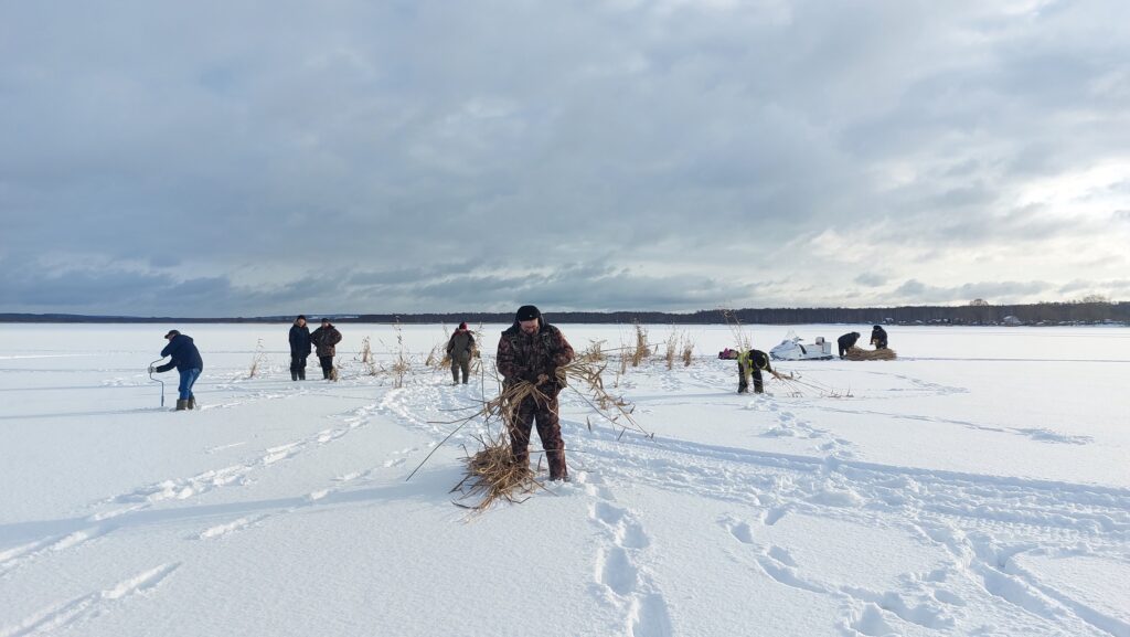 На Галичском озере Костромской области рыбоохрана спасает рыбу от заморов