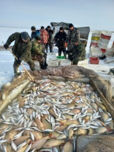 Добыча водных биоресурсов в Зауралье не снижается