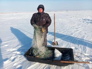 За неделю инспекторами рыбоохраны Нижнеобского ТУ Росрыболовства выявлено более 100 нарушений