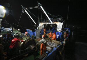 Рыбаки насыщают внутренний рынок Приморского края