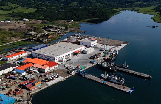 700 тонн рыбы в сутки перерабатывает крупнейший рыбоперерабатывающий комплекс «Курильский рыбак» на острове Шикотан