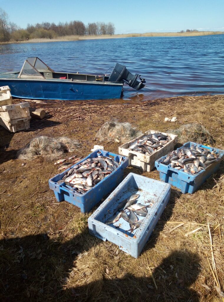 Инспекторы рыбоохраны по Псковской области в устье реки Кобилка пресекли незаконный вылов (добычу) водных биоресурсов