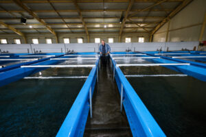 Государство готово субсидировать 100% ключевой ставки ЦБ по льготным кредитам для аграриев и рыбоводов