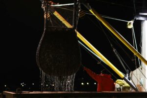 Российские рыбаки сохраняют темпы вылова: добыто 1,78 млн тонн водных биоресурсов