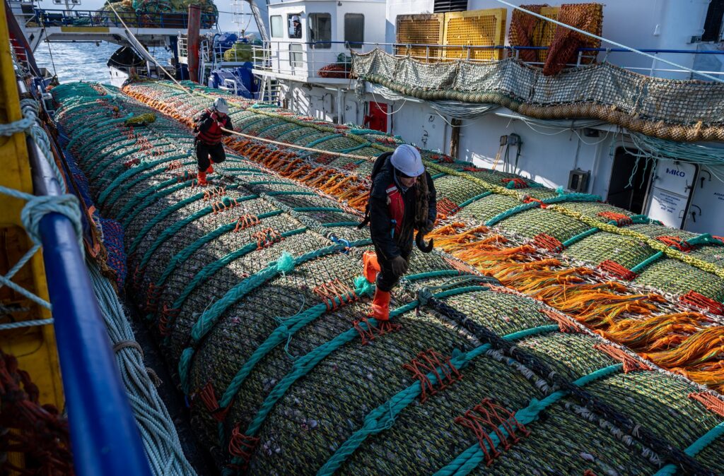 К концу весны российские рыбаки нарастили темпы вылова: добыто почти 2 млн тонн — на 1,3% выше уровня 2021 года