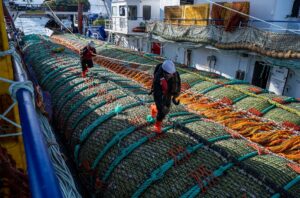 К концу весны российские рыбаки нарастили темпы вылова: добыто почти 2 млн тонн – на 1,3% выше уровня 2021 года