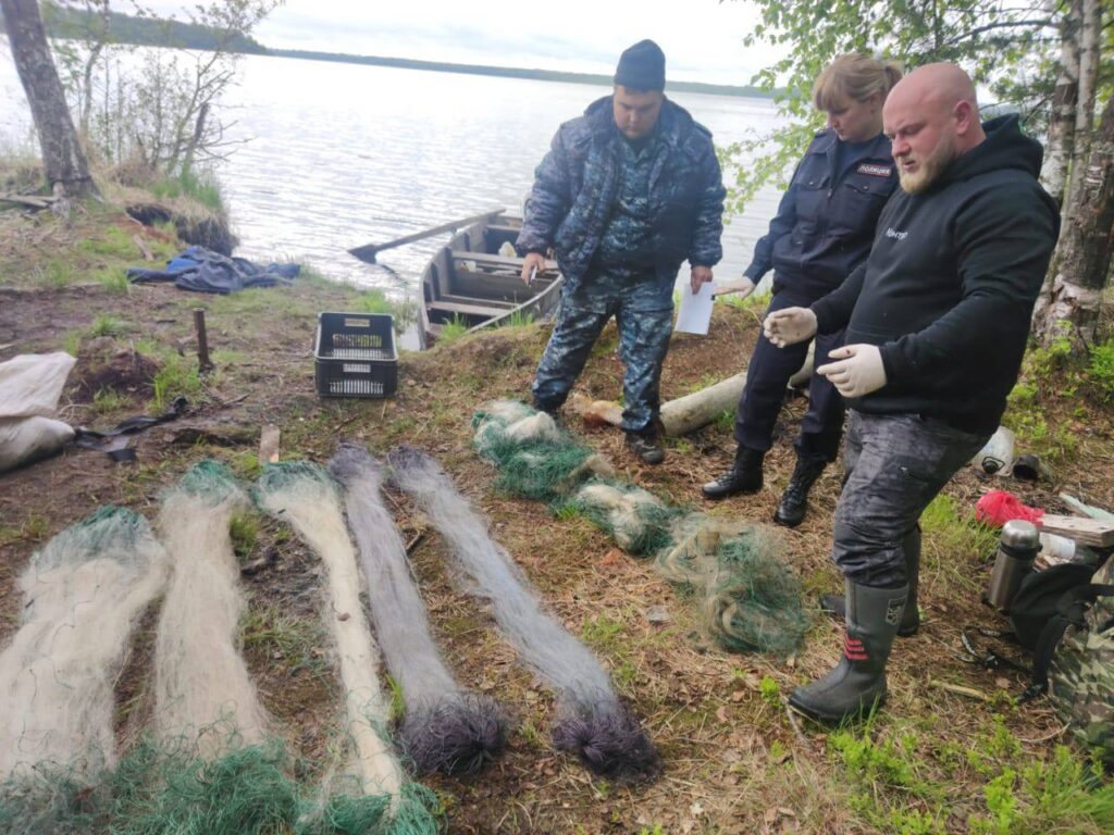 В Псковской области граждане осуществляли добычу водных биологических ресурсов запрещенными орудиями лова