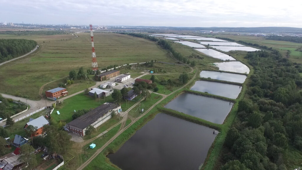 Росрыболовство комплексно подходит к восстановлению экосистем водоемов Уральского федерального округа – одного из самых промышленно развитых регионов РФ