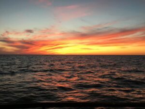 Ученые прикаспийских стран обсудили меры повышения эффективности воспроизводства осетровых