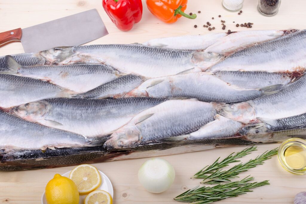 Рыбные ряды: оптовые цены на мороженую рыбу продолжают снижаться