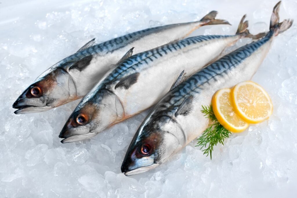 Рыбные ряды: оптовые  цены на основные виды рыбной продукции продолжают снижаться