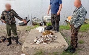 Результаты патрулирования на реке Чулым в Тегульдетском районе Томской области