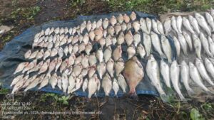 Сотрудниками Воронежской инспекции пресечен незаконный вылов рыбы