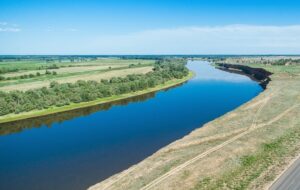 В Волгу выпущено более 200 тыс. мальков русского осетра