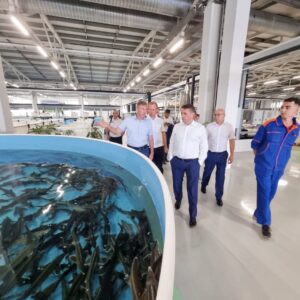 Илья Шестаков: важен вклад каждого приволжского региона в развитие осетроводства и восстановление популяций осетровых