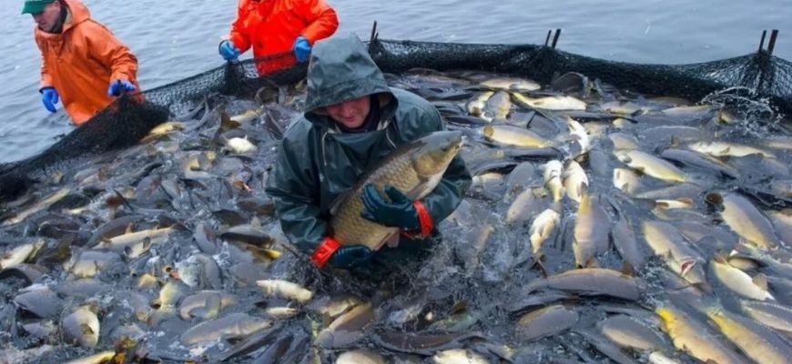 Рыбаки Приморья наращивают вылов пресноводных видов рыб