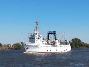 Ученые проводят исследования осетровых рыб в Каспийском море