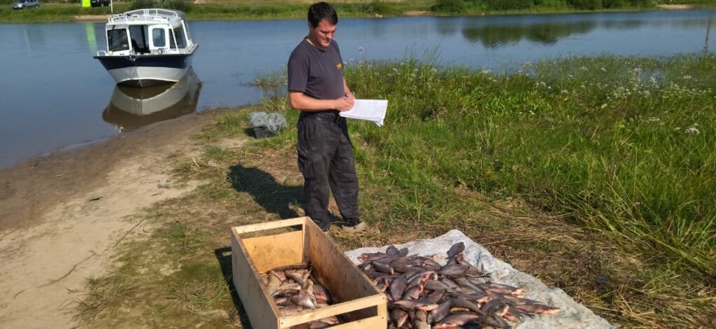 Инспекторским составом рыбоохраны снова задержан браконьер  в Ярославской области