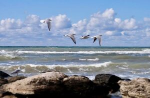 12 августа – День Каспийского моря – уникального водоема и его ценных обитателей