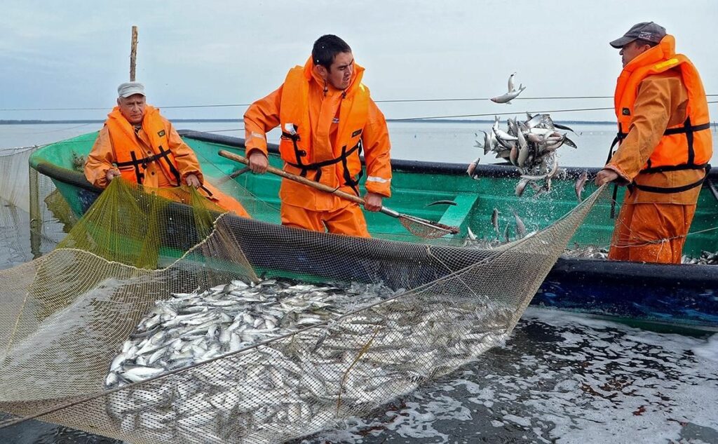 Морское рыболовство и рыбоводство — в числе приоритетных направлений новой Морской доктрины