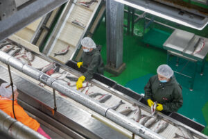 Правительство запускает новую кредитную линию для малого и среднего бизнеса