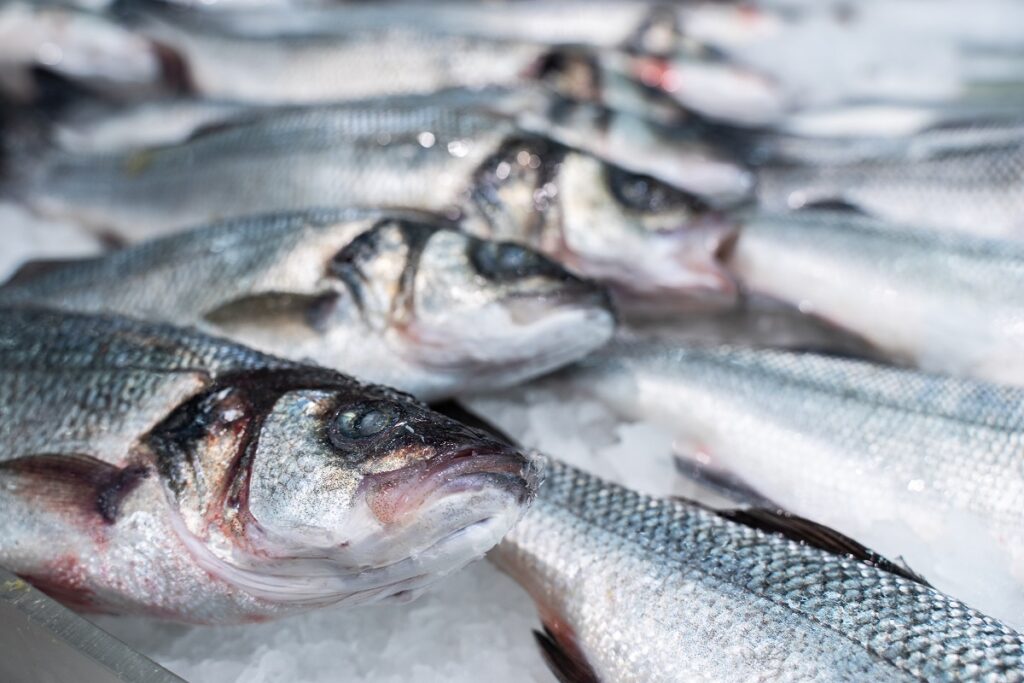 Рыбные ряды: оптовые цены на основные виды мороженой рыбы продолжают снижаться