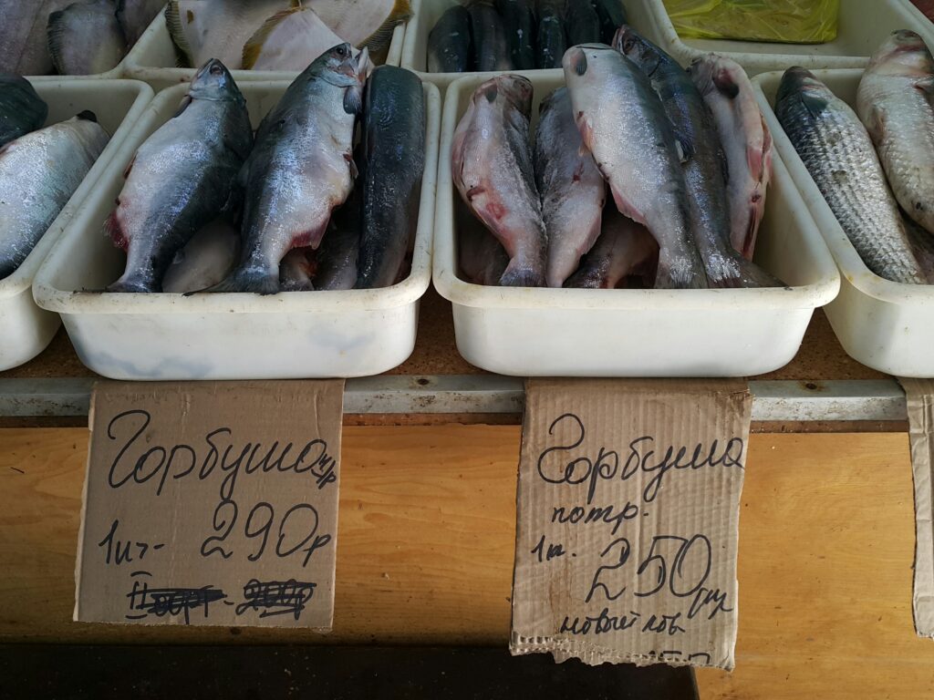 Поставки свежевыловленных лососевых на внутренний рынок Приморья идут непрерывно