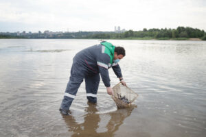 В Татарстане продолжается  зарыбление Нижнекамского водохранилища: пополняют запасы сазана