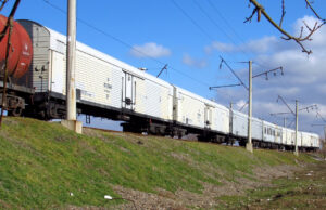 Контейнерные перевозки рыбы по ж/д сети в России выросли в 1,4 раза