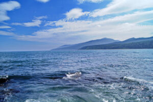 Ученые собрали данные для оценки запасов крабов и других промысловых объектов западно-камчатского шельфа Охотского моря