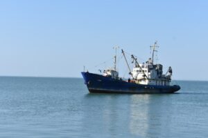 Ученые собрали данные для оценки состояния запасов хамсы и тюльки в Азовском море