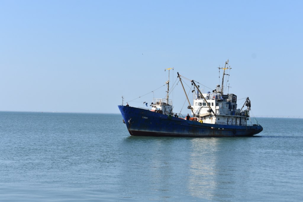 Ученые собрали данные для оценки состояния запасов хамсы и тюльки в Азовском море
