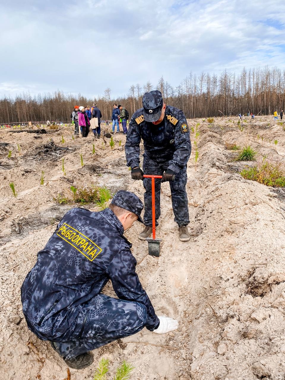 Сахалино курильское территориальное управление федерального агентства по рыболовству телефон