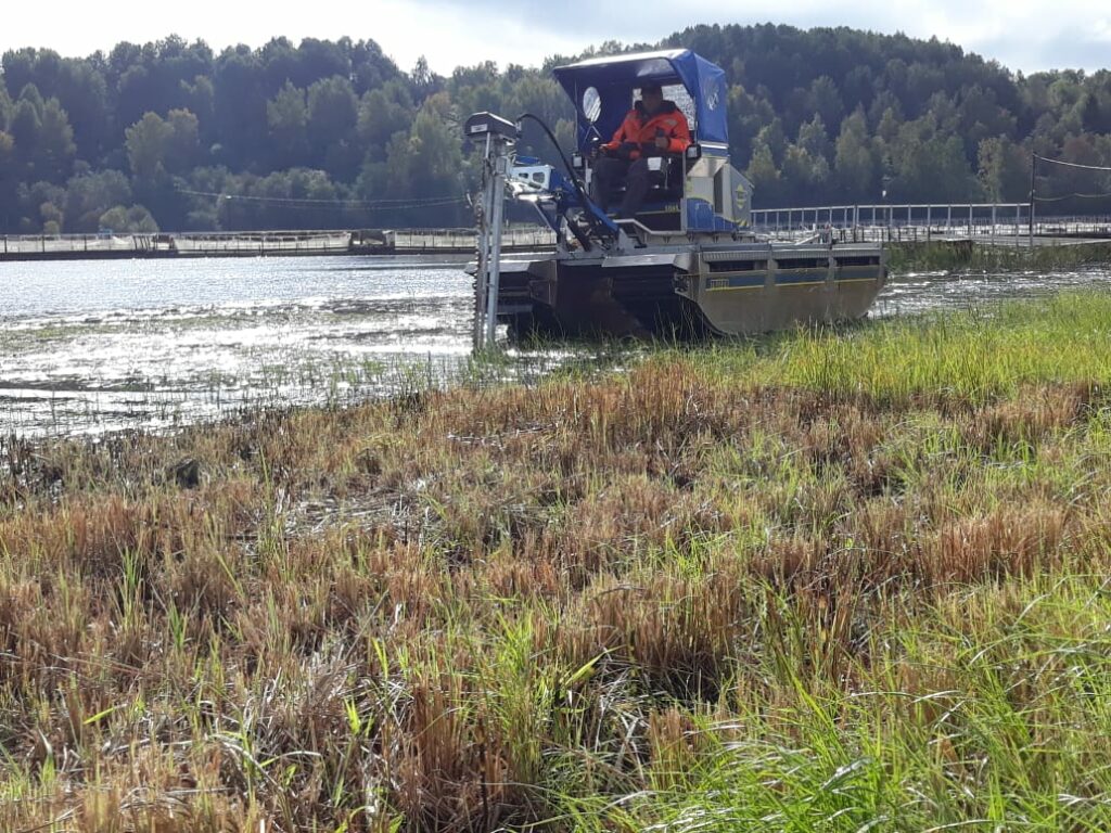 Водные объекты  рыбохозяйственного значения Ленинградской области очищают от растительности и затонувшей древесины