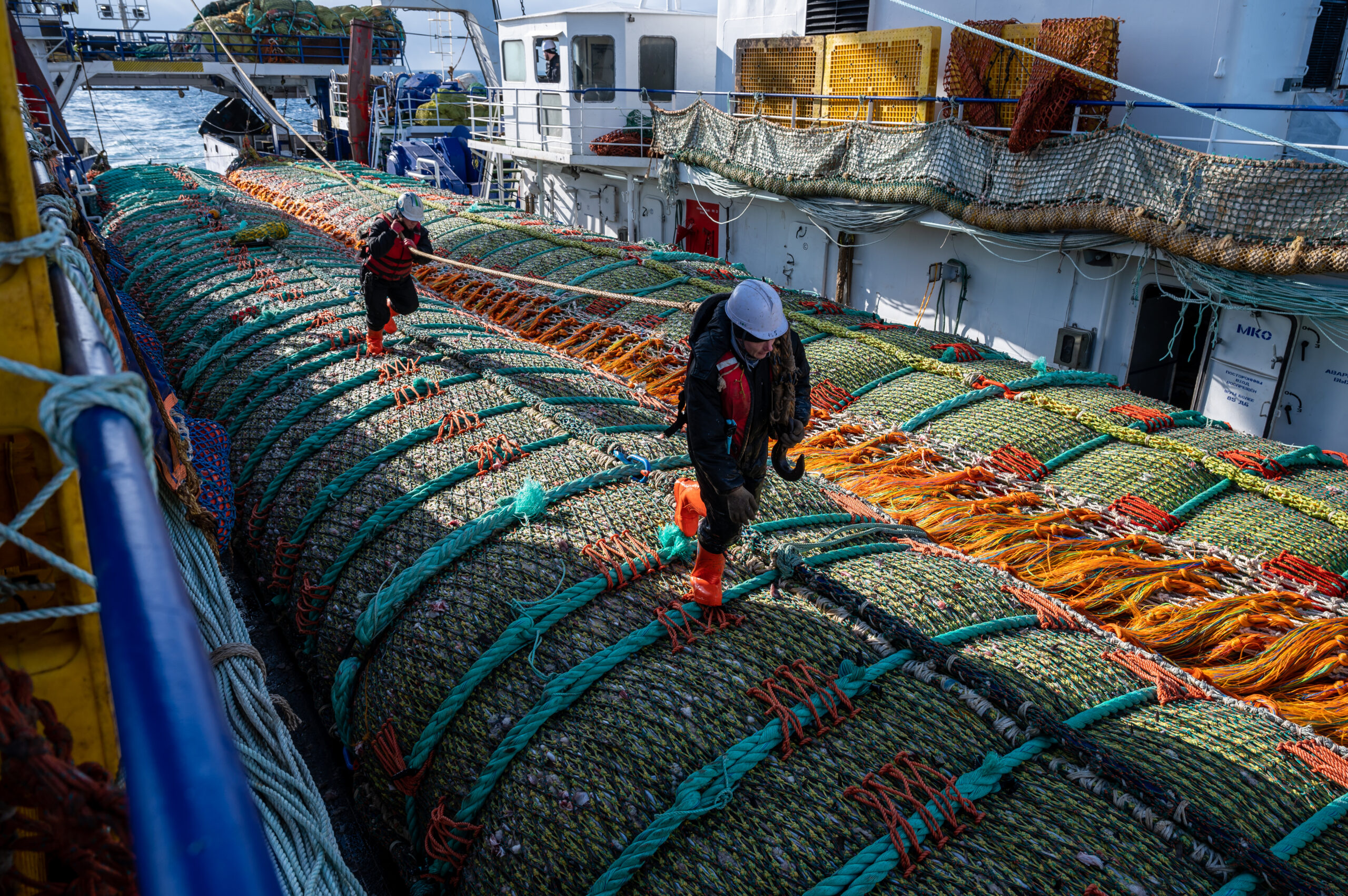 Российские рыбаки добыли почти 3,8 млн тонн рыбы и морепродуктов