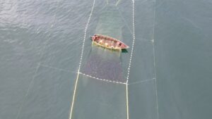 Передовые технологии на службе ученых рыбной отрасли