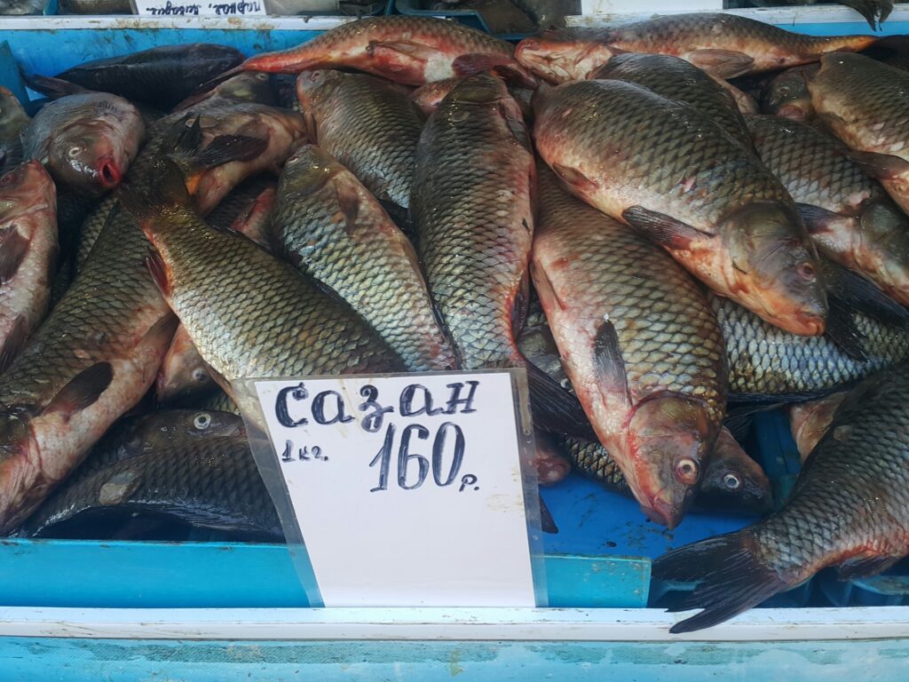 Пресноводные уловы активно поставляются на внутренний рынок и реализуются по доступной цене в Приморье