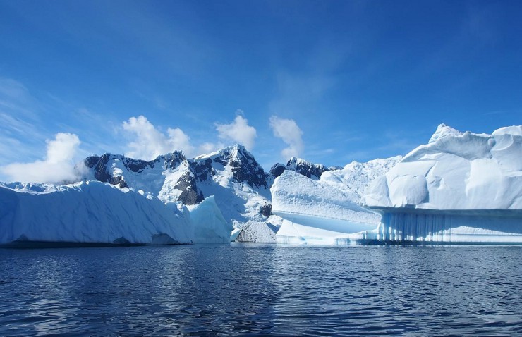 На заседании АНТКОМ обсудили противодействие ННН-промыслу и актуализацию мер по сохранению морских живых ресурсов Антарктики