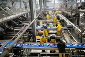 Глава Росрыболовства Илья Шестаков подписал отраслевое трехстороннее соглашение об улучшении качества условий труда в рыбной отрасли