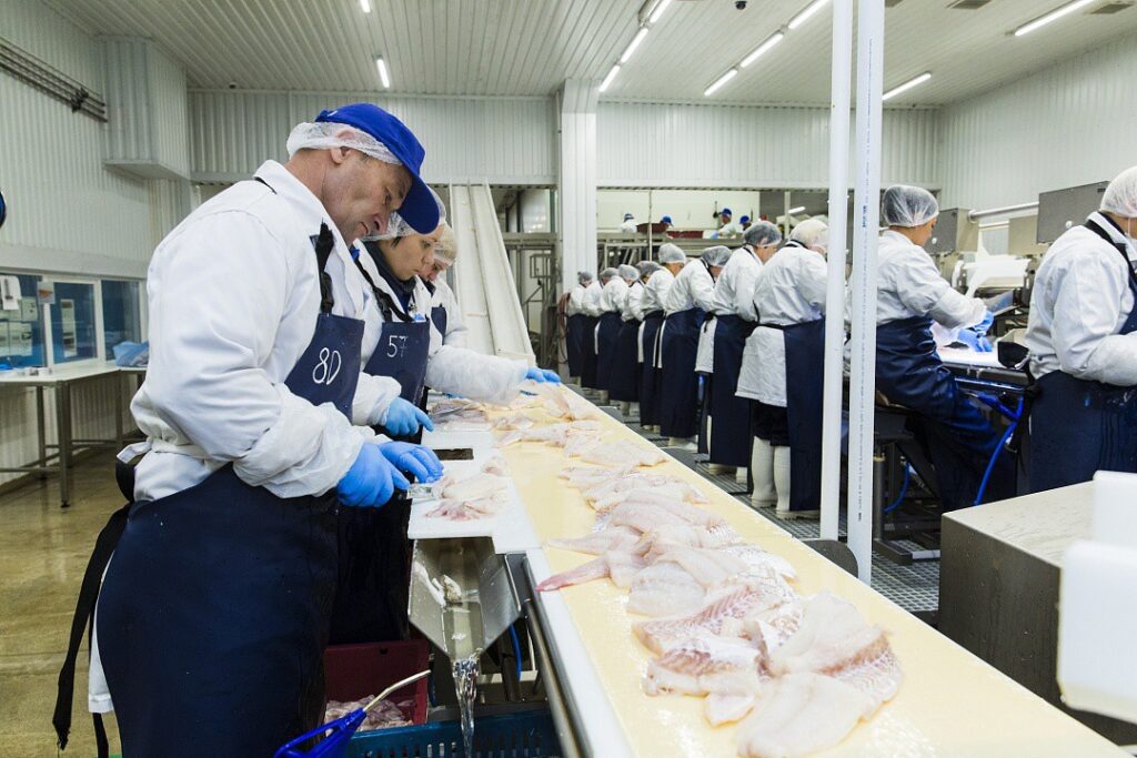 За три квартала 2022 года производство рыбного филе в России выросло на 27% — до 213 тыс. тонн
