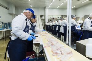 За три квартала 2022 года производство рыбного филе в России выросло на 27% – до 213 тыс. тонн