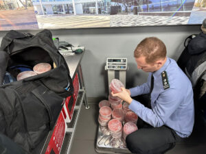 В первый день эксперимента по ограничению авиаперевозки красной икры проконтролировано более 300 кг  – отказано в перевозке 20 кг