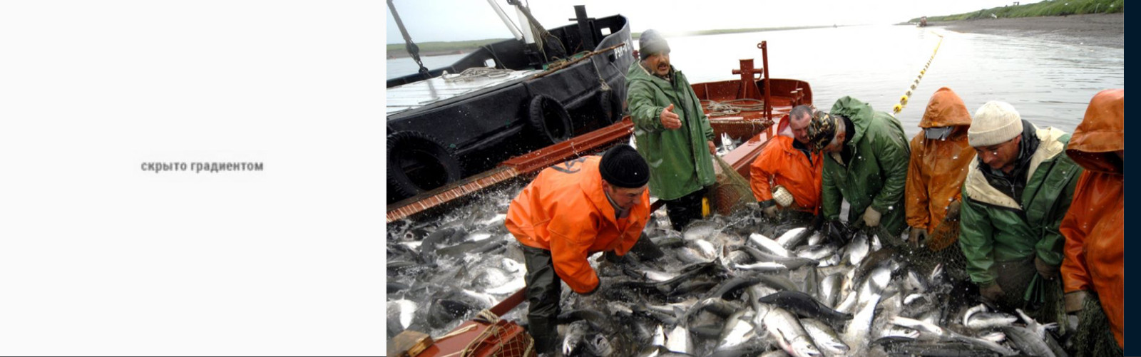 Большерецк камчатка завод народы севера. Ооо лойд фиш камчатка. Рыбоперерабатывающий завод заря камчатка. Усть камчатск рыба. Рыбозавод лойд фиш.